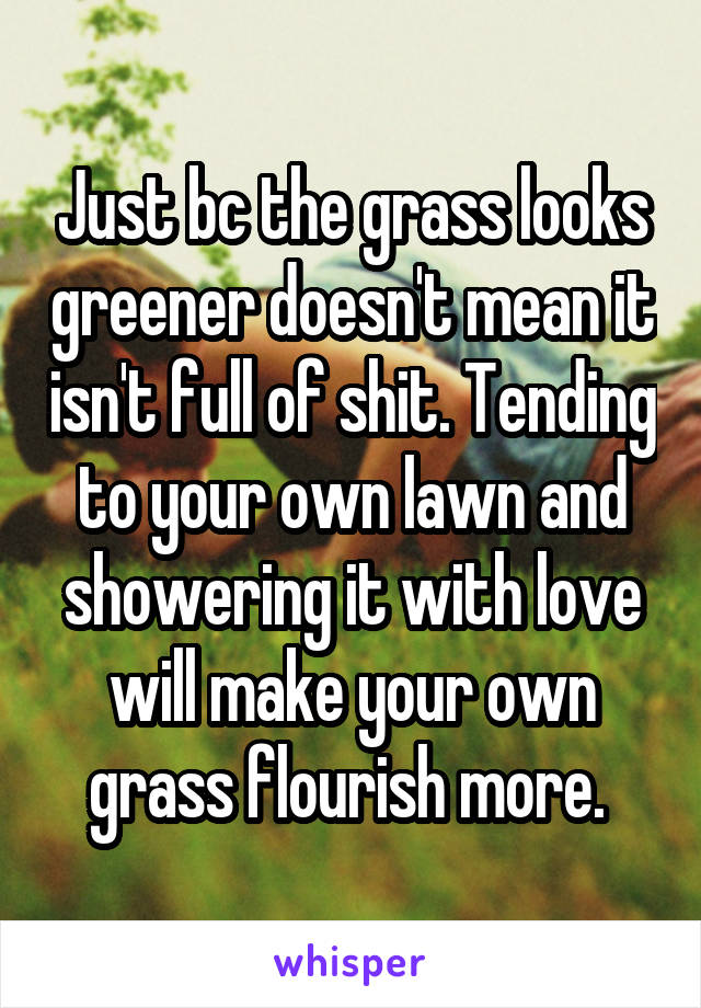 Just bc the grass looks greener doesn't mean it isn't full of shit. Tending to your own lawn and showering it with love will make your own grass flourish more. 