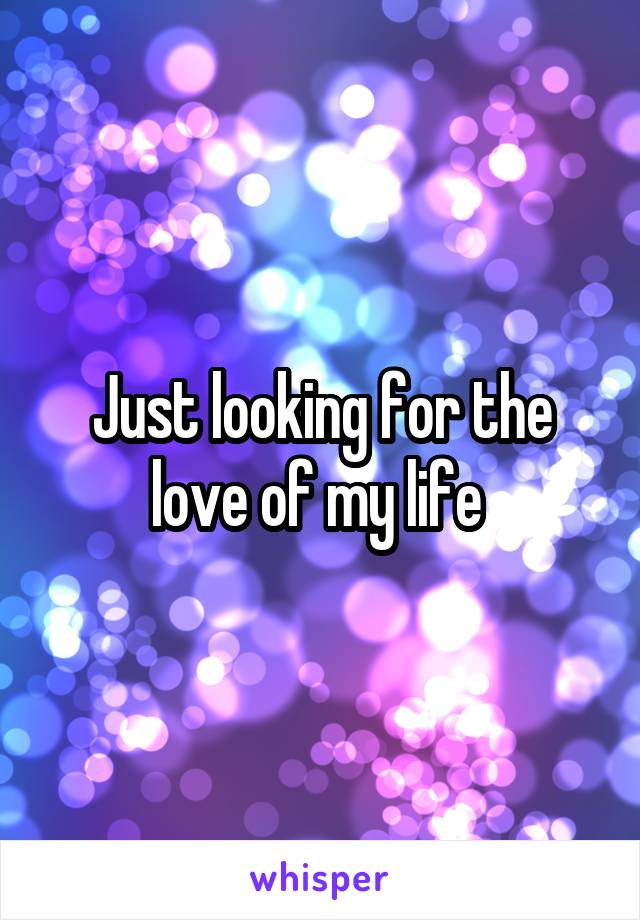 Just looking for the love of my life 