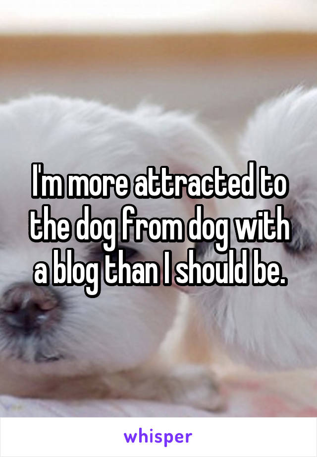 I'm more attracted to the dog from dog with a blog than I should be.