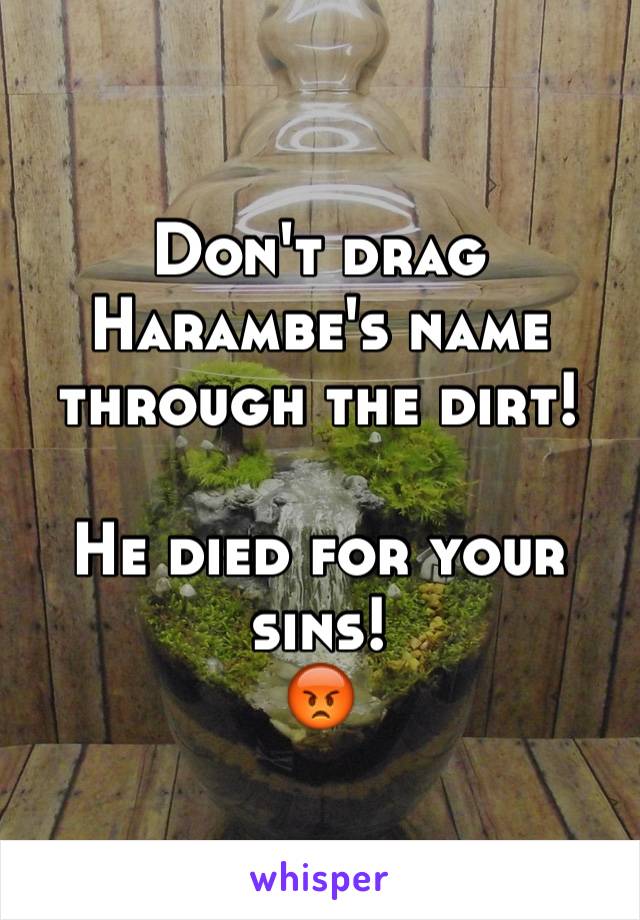 Don't drag Harambe's name through the dirt! 

He died for your sins!
😡