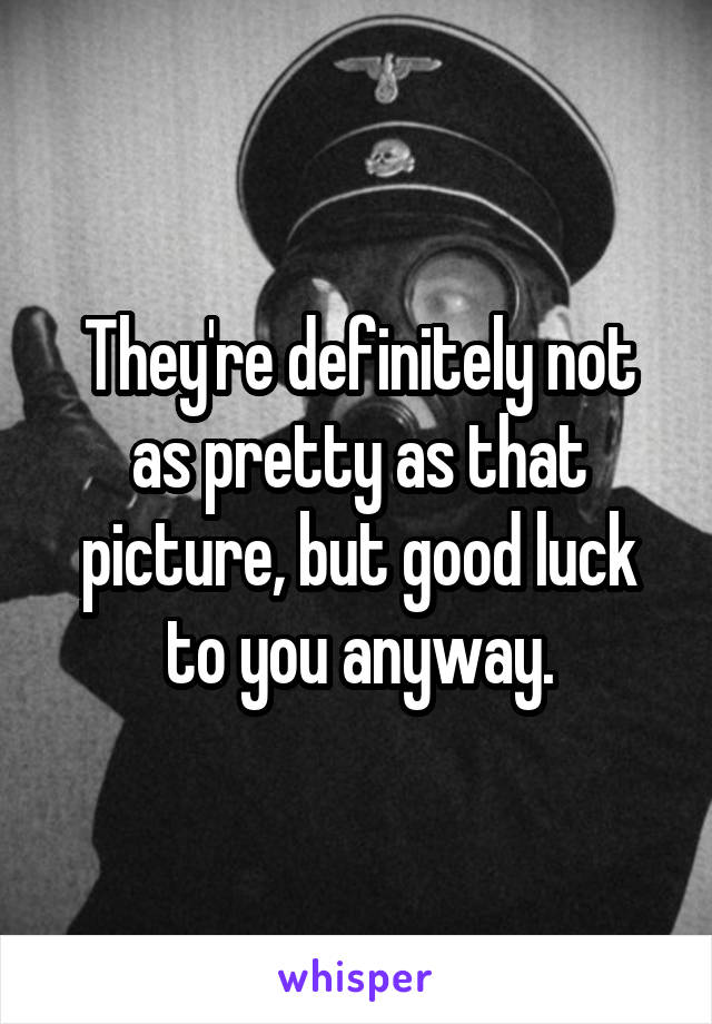 They're definitely not as pretty as that picture, but good luck to you anyway.