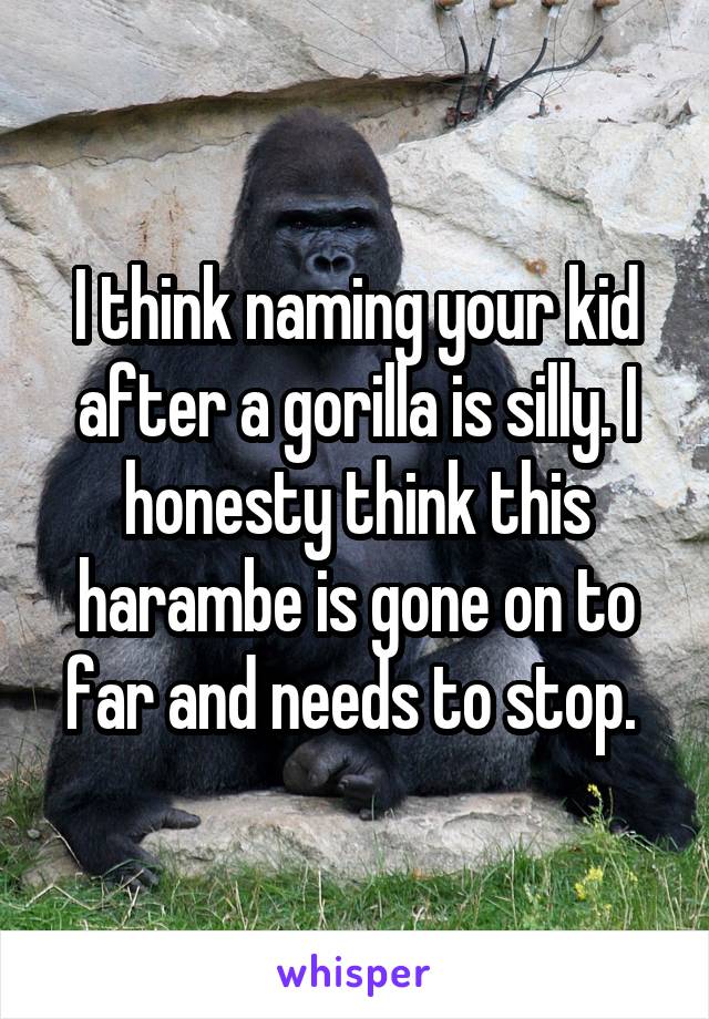 I think naming your kid after a gorilla is silly. I honesty think this harambe is gone on to far and needs to stop. 