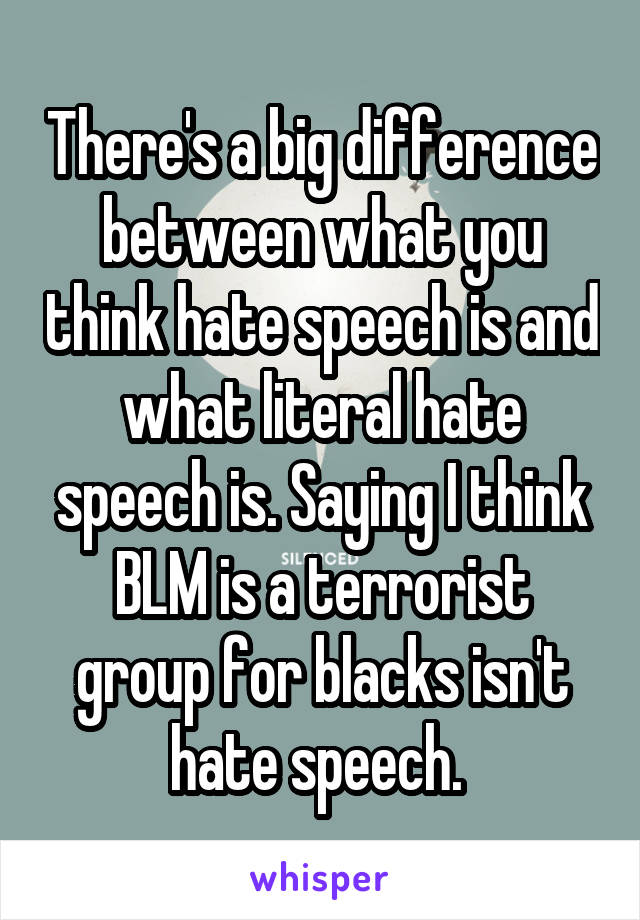 There's a big difference between what you think hate speech is and what literal hate speech is. Saying I think BLM is a terrorist group for blacks isn't hate speech. 