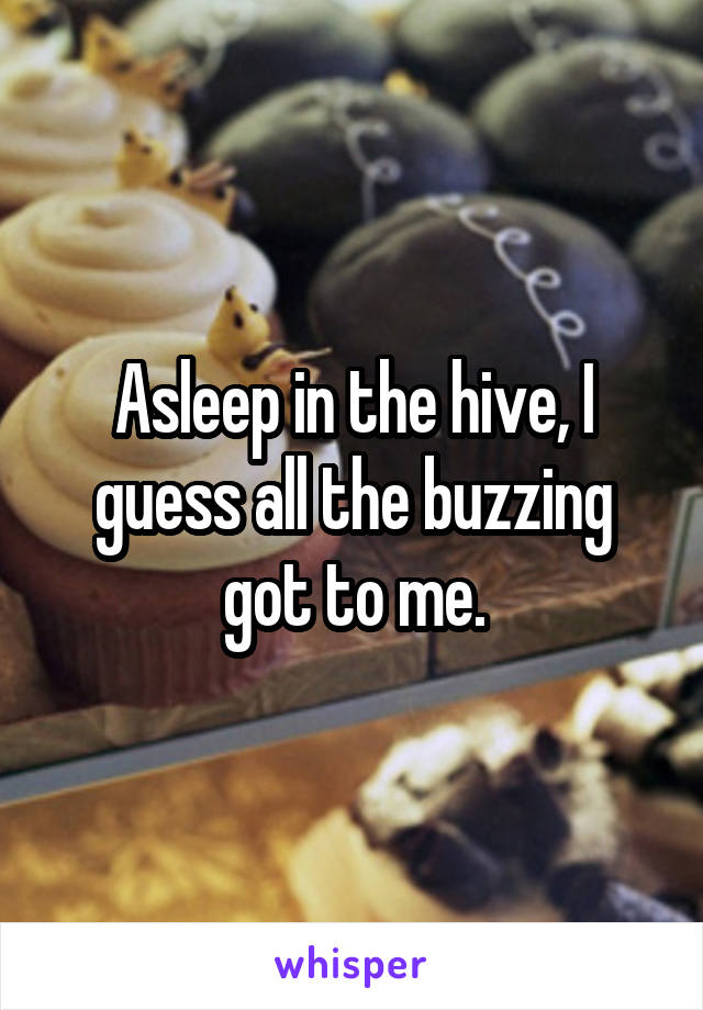 Asleep in the hive, I guess all the buzzing got to me.