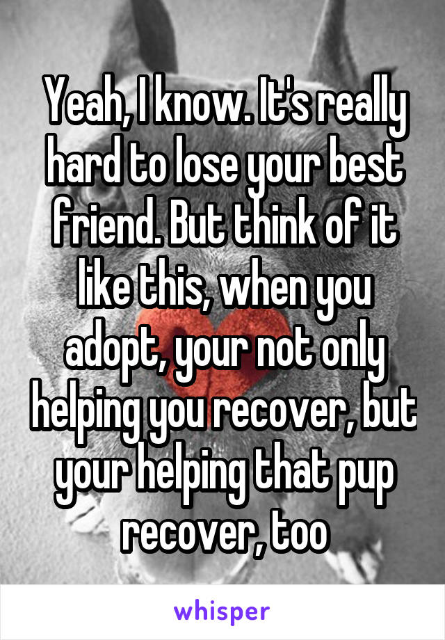 Yeah, I know. It's really hard to lose your best friend. But think of it like this, when you adopt, your not only helping you recover, but your helping that pup recover, too