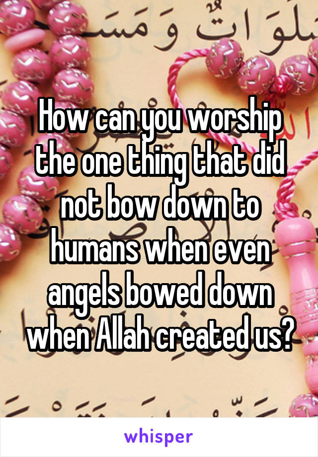How can you worship the one thing that did not bow down to humans when even angels bowed down when Allah created us?