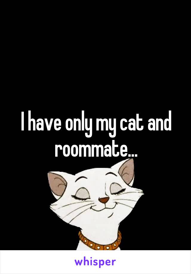 I have only my cat and roommate...