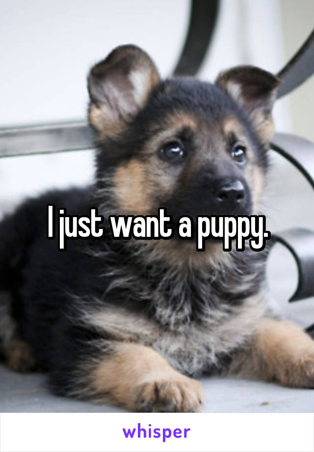 I just want a puppy.