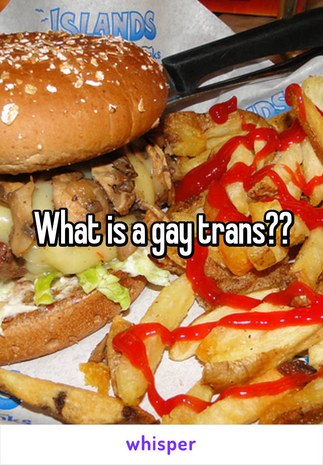What is a gay trans??