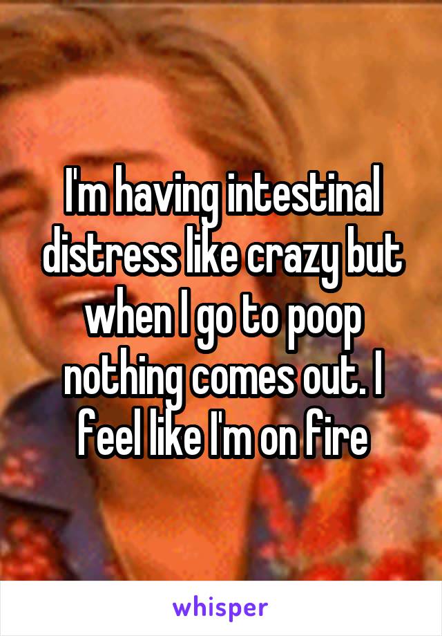 I'm having intestinal distress like crazy but when I go to poop nothing comes out. I feel like I'm on fire