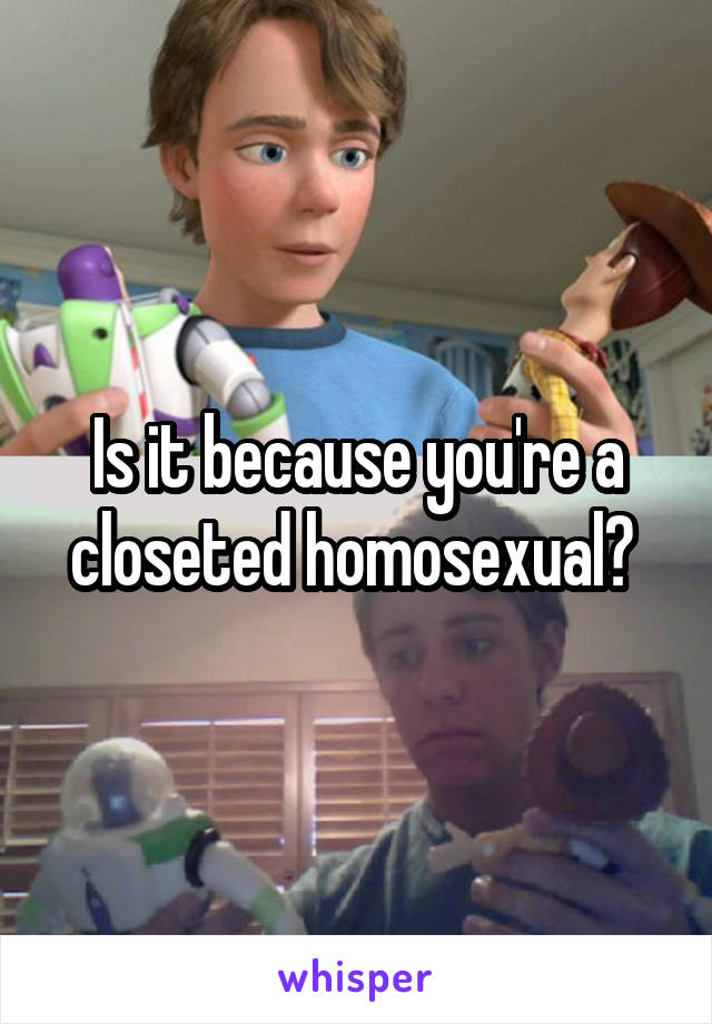 Is it because you're a closeted homosexual? 