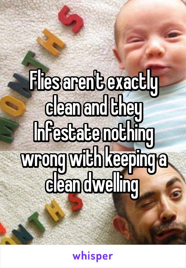 Flies aren't exactly clean and they Infestate nothing wrong with keeping a clean dwelling 