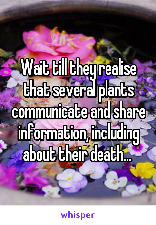 Wait till they realise that several plants communicate and share information, including about their death... 