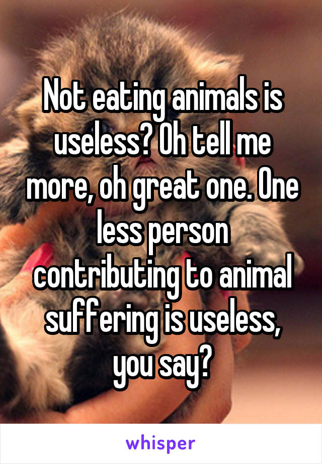 Not eating animals is useless? Oh tell me more, oh great one. One less person contributing to animal suffering is useless, you say?