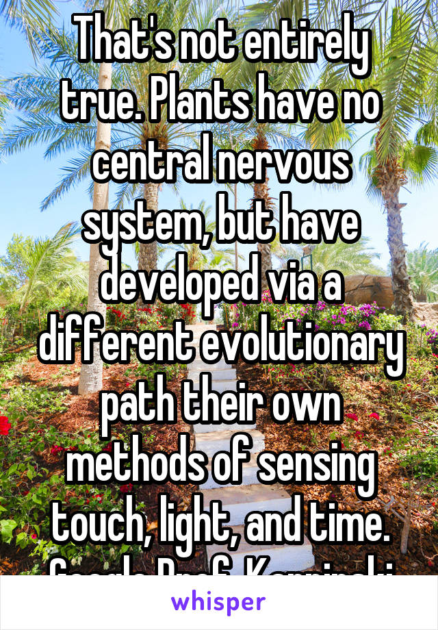 That's not entirely true. Plants have no central nervous system, but have developed via a different evolutionary path their own methods of sensing touch, light, and time. Google Prof. Karpinski