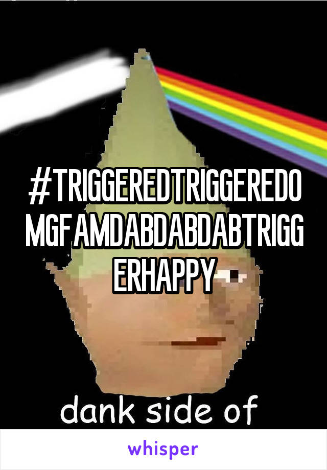 #TRIGGEREDTRIGGEREDOMGFAMDABDABDABTRIGGERHAPPY