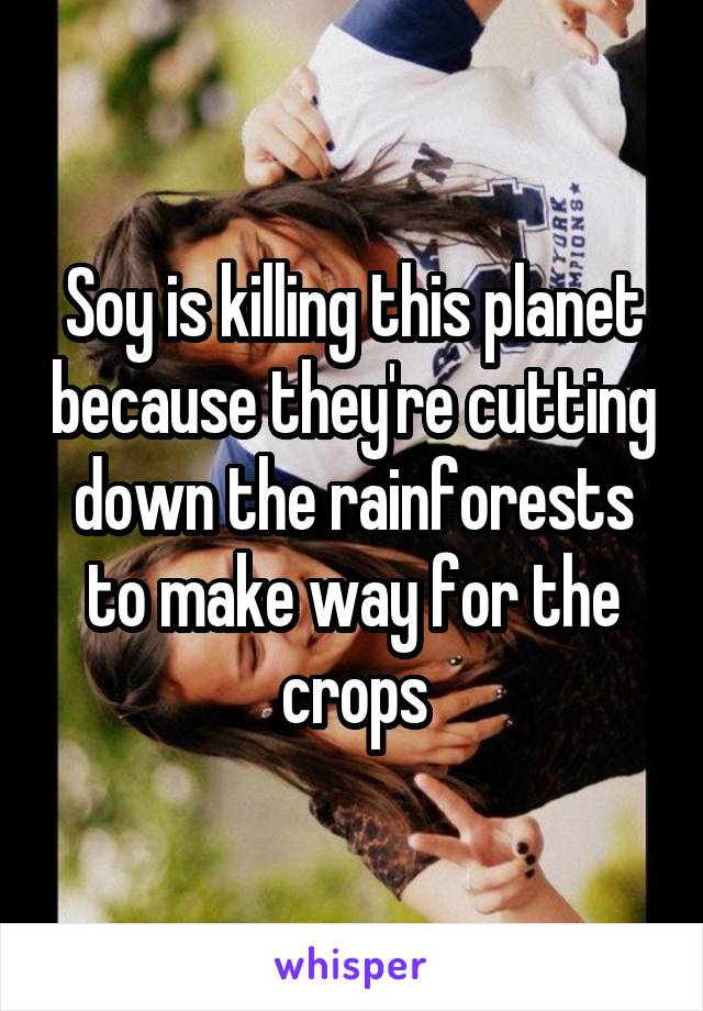 Soy is killing this planet because they're cutting down the rainforests to make way for the crops