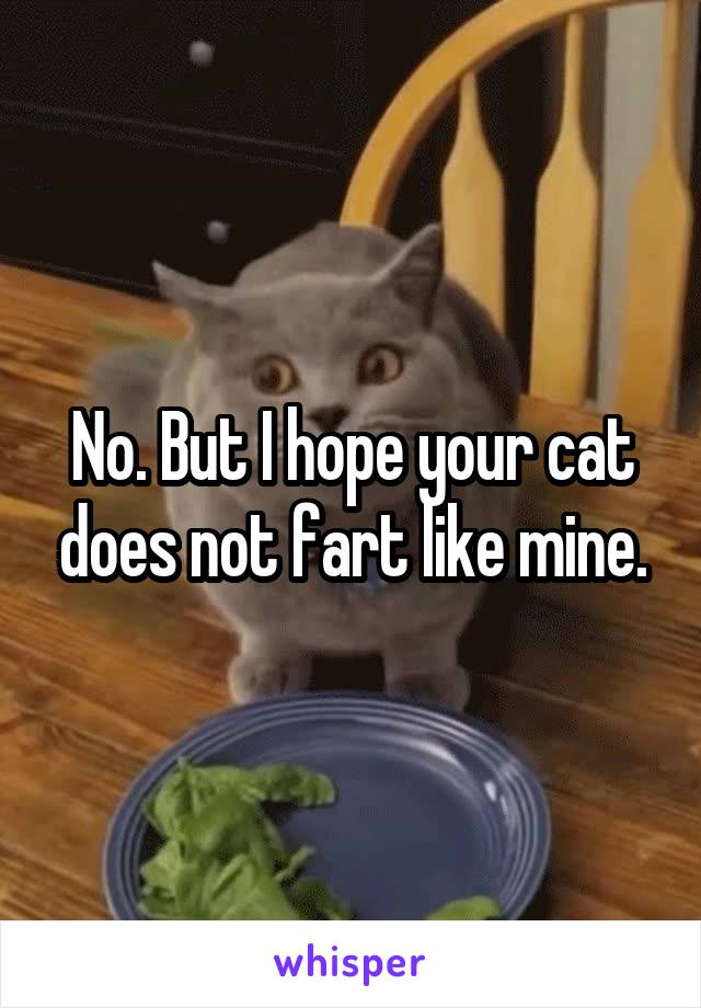 No. But I hope your cat does not fart like mine.