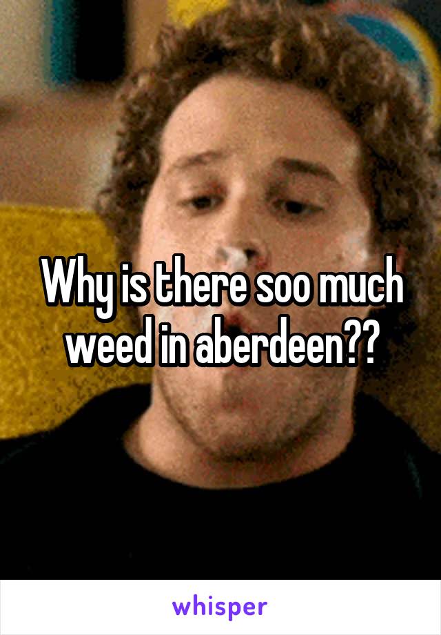 Why is there soo much weed in aberdeen??