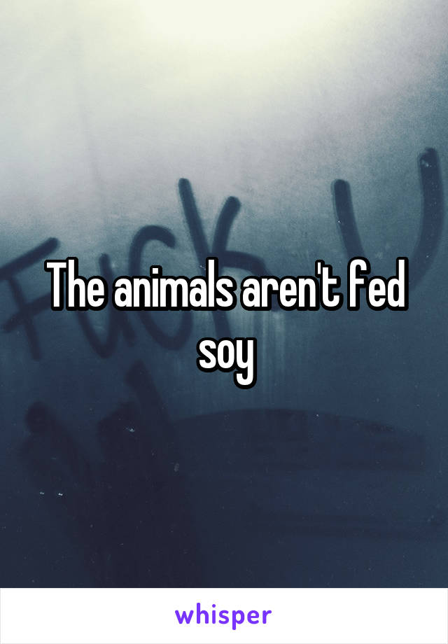 The animals aren't fed soy