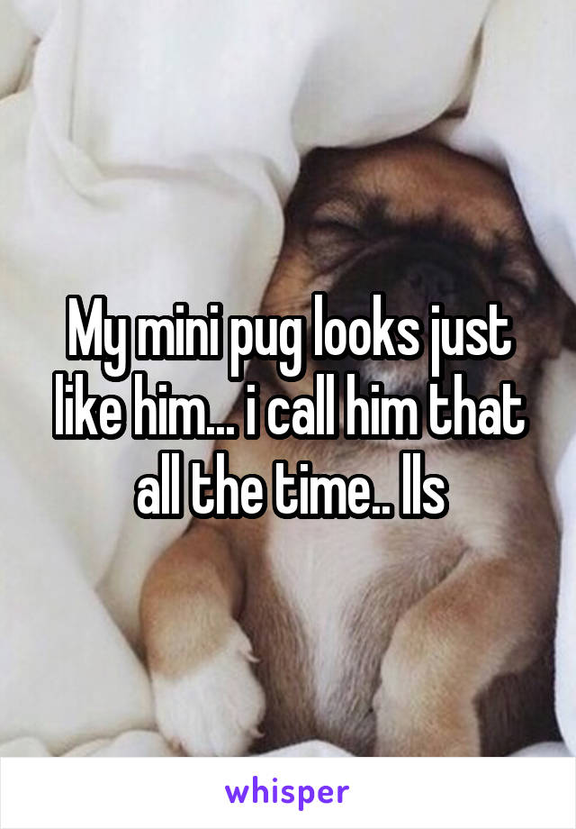 My mini pug looks just like him... i call him that all the time.. lls
