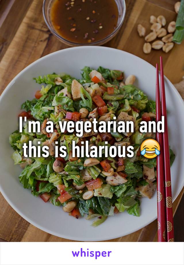 I'm a vegetarian and this is hilarious 😂