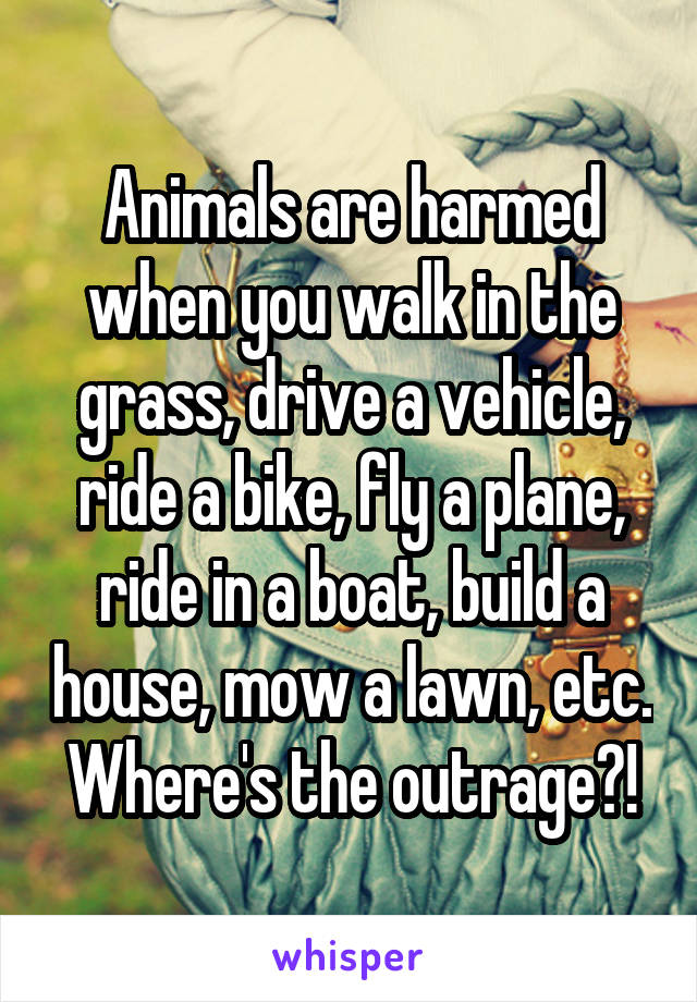 Animals are harmed when you walk in the grass, drive a vehicle, ride a bike, fly a plane, ride in a boat, build a house, mow a lawn, etc. Where's the outrage?!