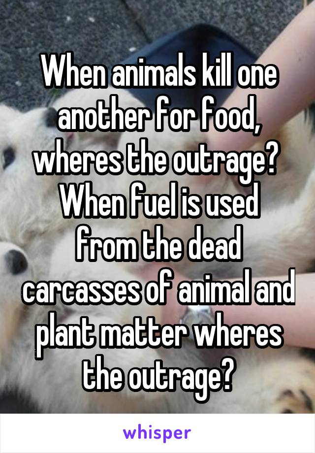 When animals kill one another for food, wheres the outrage? 
When fuel is used from the dead carcasses of animal and plant matter wheres the outrage?