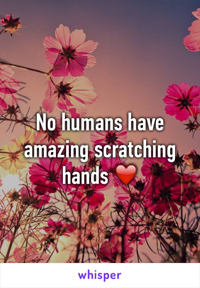 No humans have amazing scratching hands ❤️