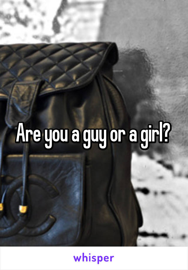 Are you a guy or a girl? 