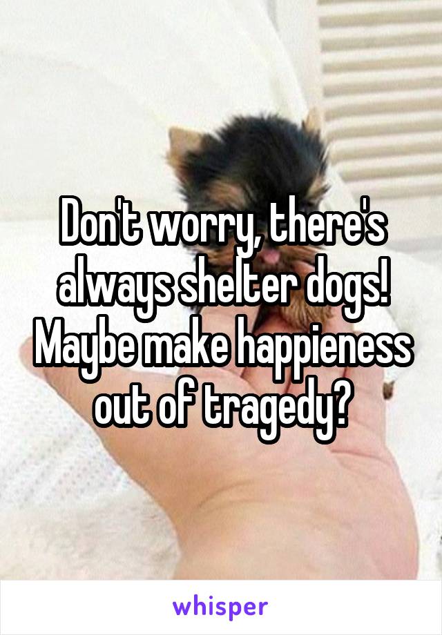 Don't worry, there's always shelter dogs! Maybe make happieness out of tragedy?