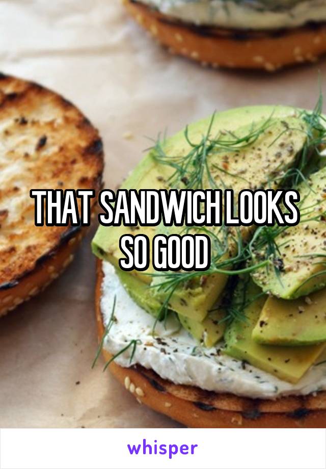 THAT SANDWICH LOOKS SO GOOD