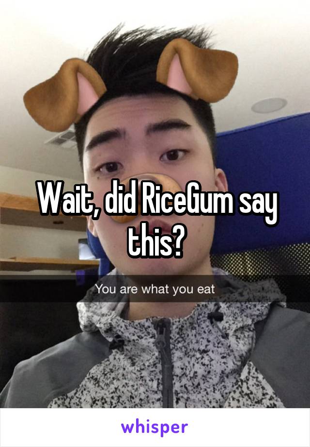 Wait, did RiceGum say this?