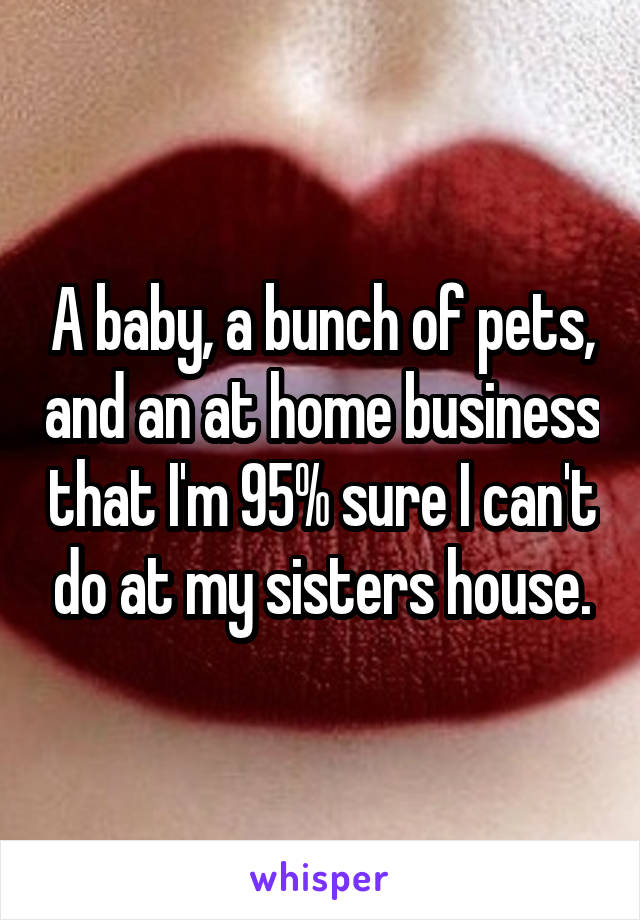 A baby, a bunch of pets, and an at home business that I'm 95% sure I can't do at my sisters house.