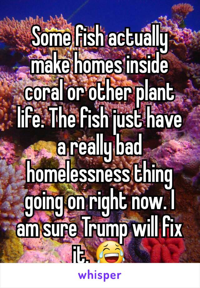 Some fish actually make homes inside coral or other plant life. The fish just have a really bad homelessness thing going on right now. I am sure Trump will fix it. 😂