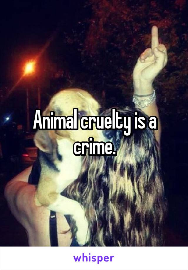 Animal cruelty is a crime.