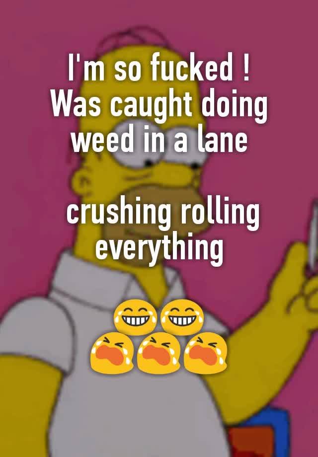 Im So Fucked Was Caught Doing Weed In A Lane Crushing Rolling Everything 😂😂 😭😭😭 