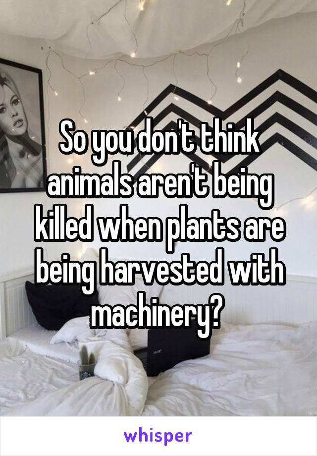 So you don't think animals aren't being killed when plants are being harvested with machinery? 