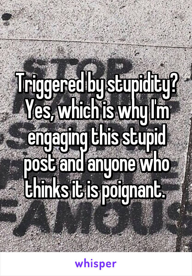 Triggered by stupidity? Yes, which is why I'm engaging this stupid post and anyone who thinks it is poignant. 