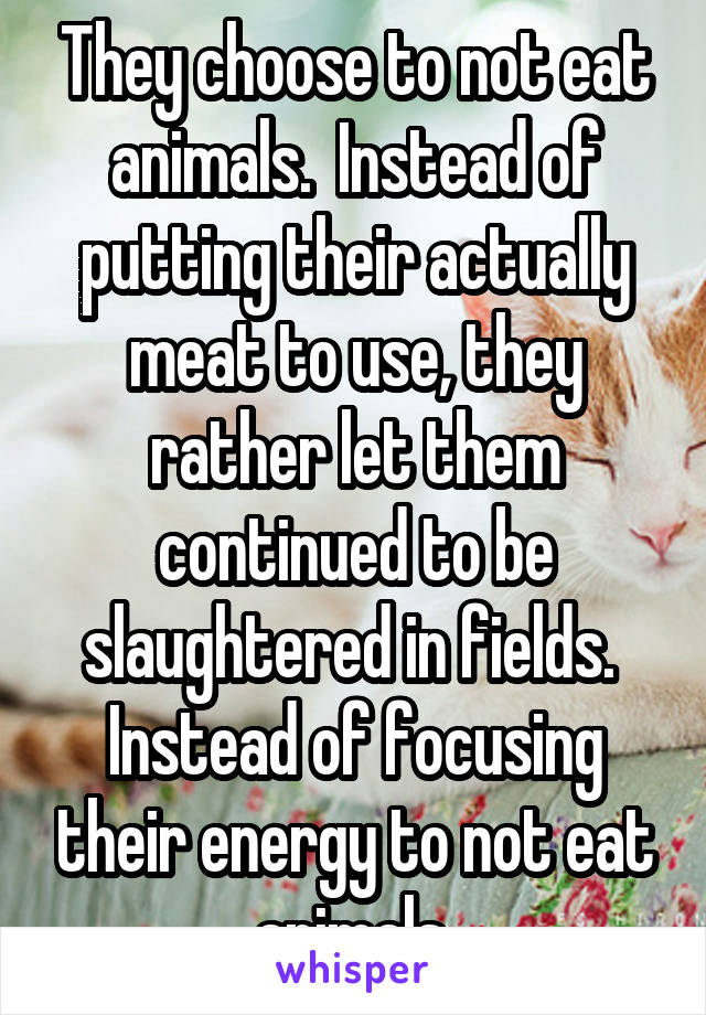 They choose to not eat animals.  Instead of putting their actually meat to use, they rather let them continued to be slaughtered in fields.  Instead of focusing their energy to not eat animals 