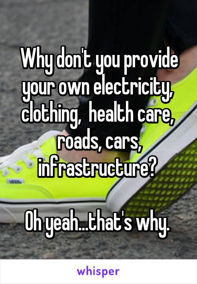 Why don't you provide your own electricity,  clothing,  health care,  roads, cars, infrastructure? 

Oh yeah...that's why. 