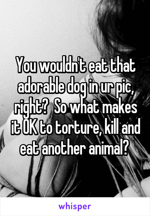 You wouldn't eat that adorable dog in ur pic, right?  So what makes it OK to torture, kill and eat another animal? 