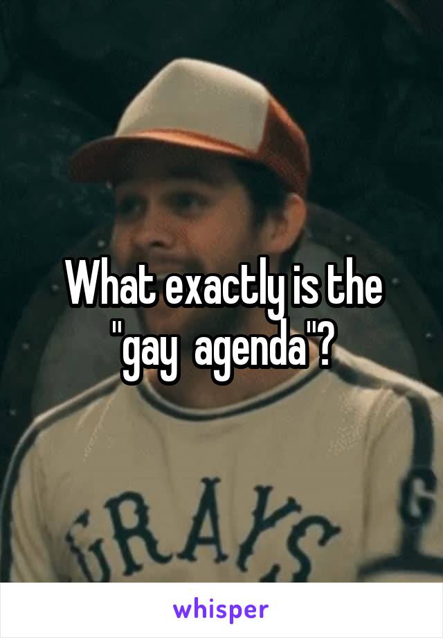 What exactly is the "gay  agenda"?