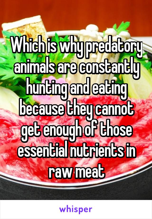 Which is why predatory animals are constantly hunting and eating because they cannot get enough of those essential nutrients in raw meat