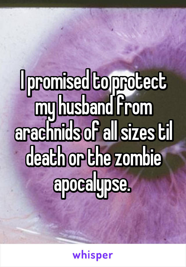 I promised to protect my husband from arachnids of all sizes til death or the zombie apocalypse. 