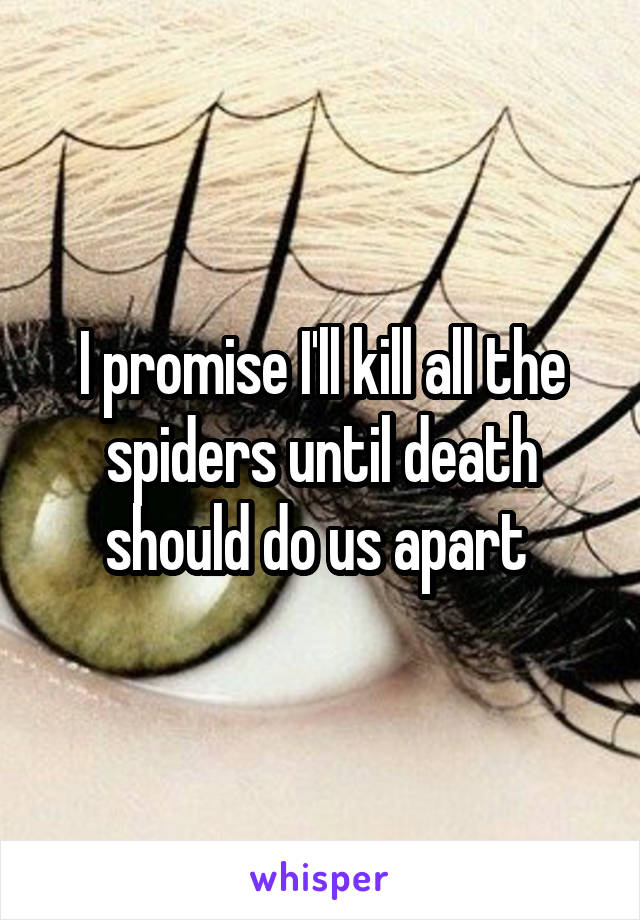 I promise I'll kill all the spiders until death should do us apart 