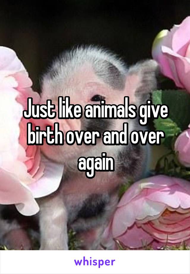 Just like animals give birth over and over again