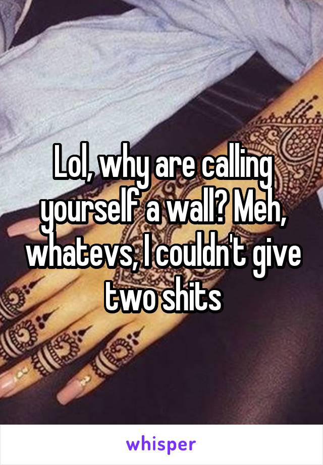 Lol, why are calling yourself a wall? Meh, whatevs, I couldn't give two shits