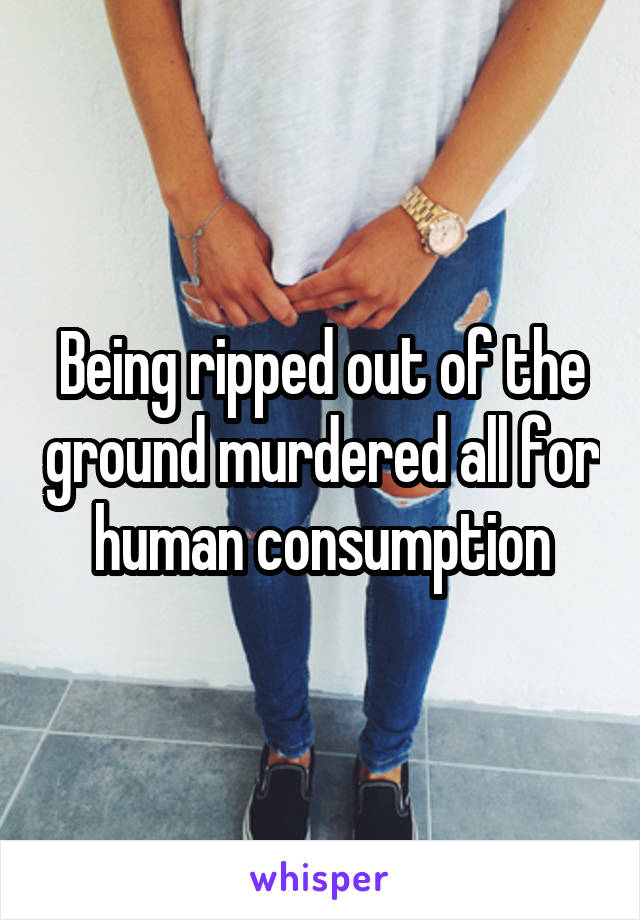 Being ripped out of the ground murdered all for human consumption