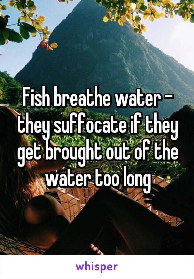 Fish breathe water - they suffocate if they get brought out of the water too long